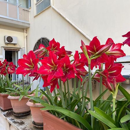 Il Giglio Rosso Apartment Наполи Екстериор снимка